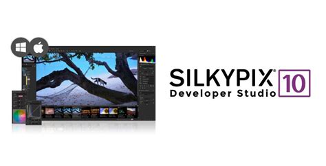SILKYPIX Developer Studio  (v10.1.15.0)